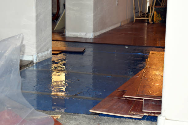 Professional Basement Water Removal technician working in Van Buren, AR